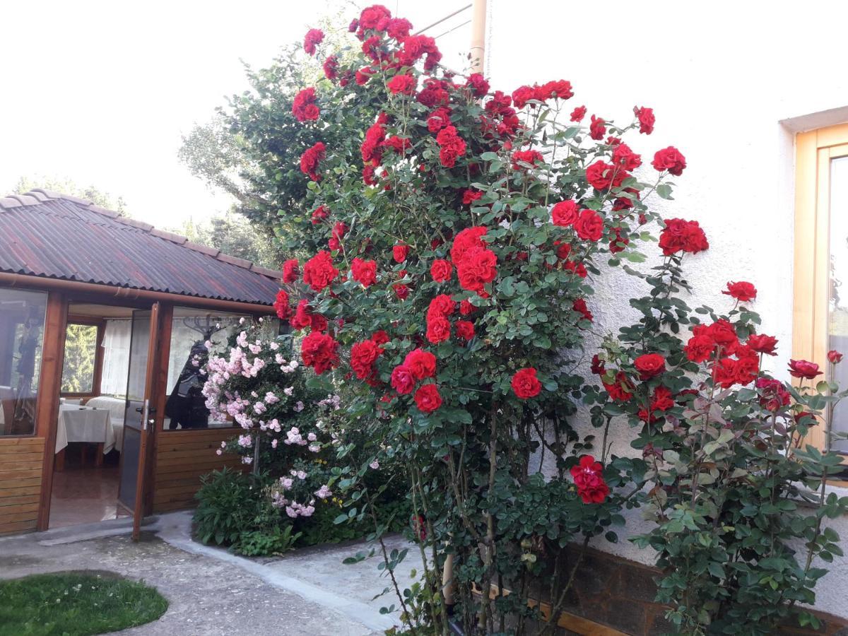 Guest House Stoletnika Iagodina Exterior foto