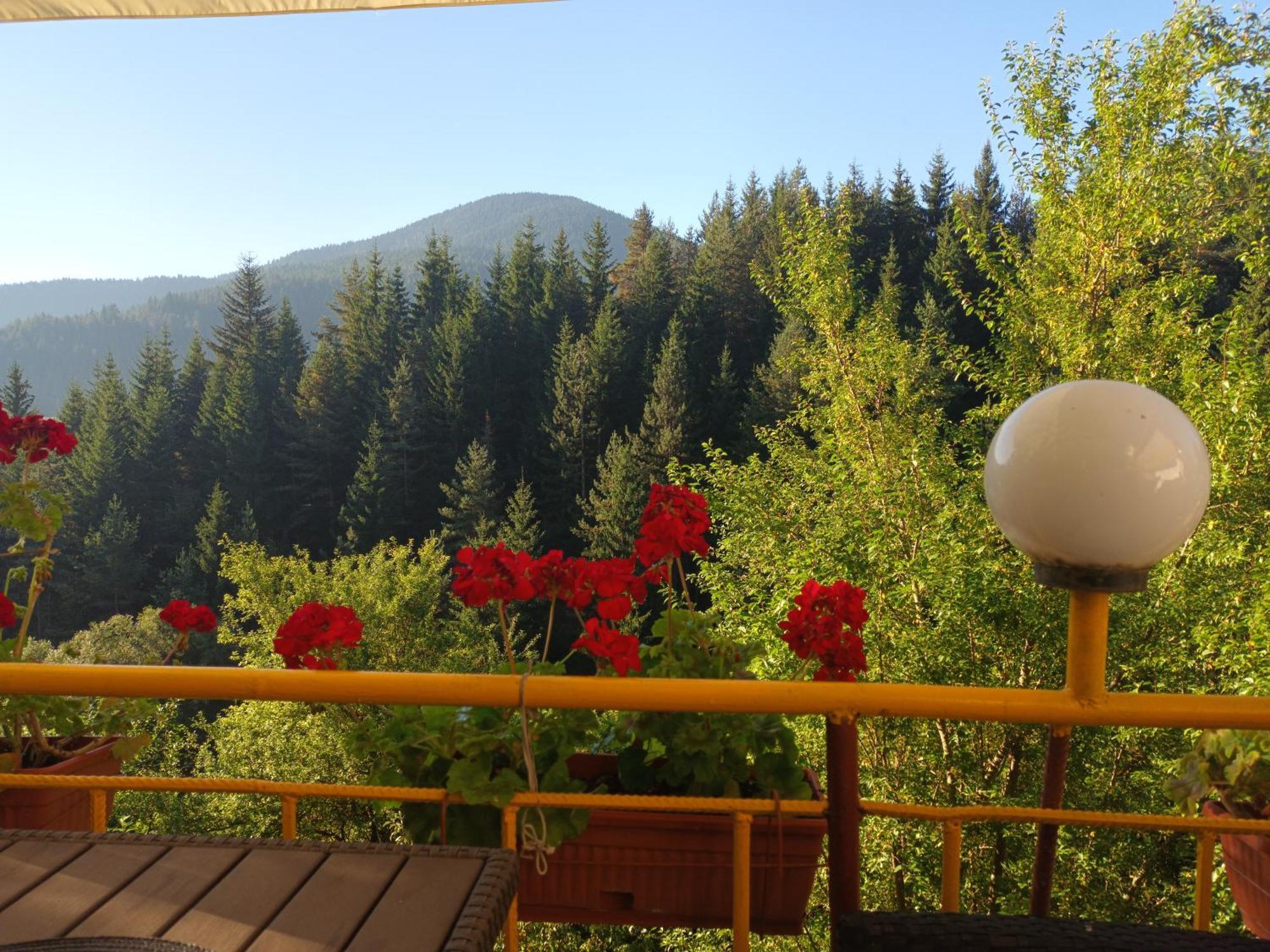 Guest House Stoletnika Iagodina Exterior foto