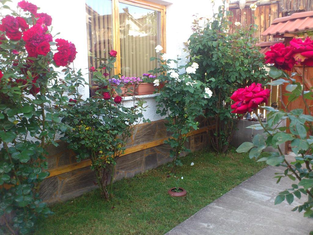 Guest House Stoletnika Iagodina Exterior foto